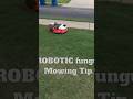 Fungus & robot mower TIP