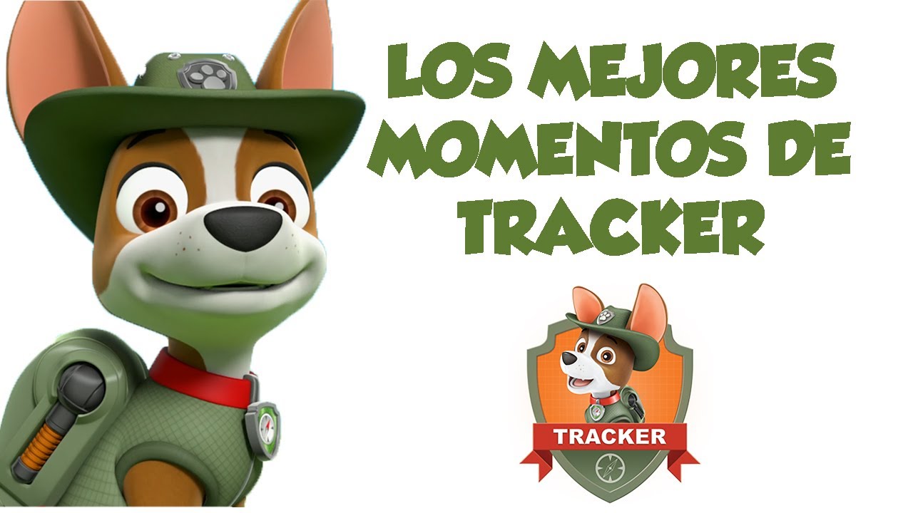 Tracker Patrulla Canina Paw Patrol en Español 🧭 