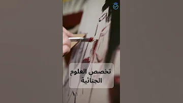 أسهل التخصصات الجامعية في الجزائر 