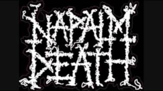 Napalm Death - Constitutional Hell mp3