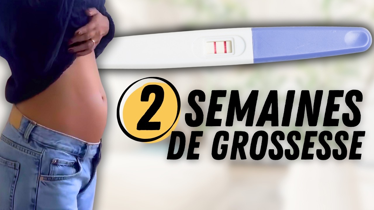 2 SEMAINES DE GROSSESSE : symptômes et développement de l’embryon.