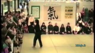 Stillpointer 1991 Tai Chi Chuan - Peking Style - Fast 2