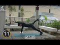 FULL BODYWEIGHT CARDIO (MODIFIED VERSION)