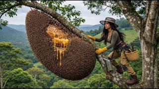 Giant Wild Honey Hunt: Discovering and Harvesting Wild Honey at Dangerous Heights