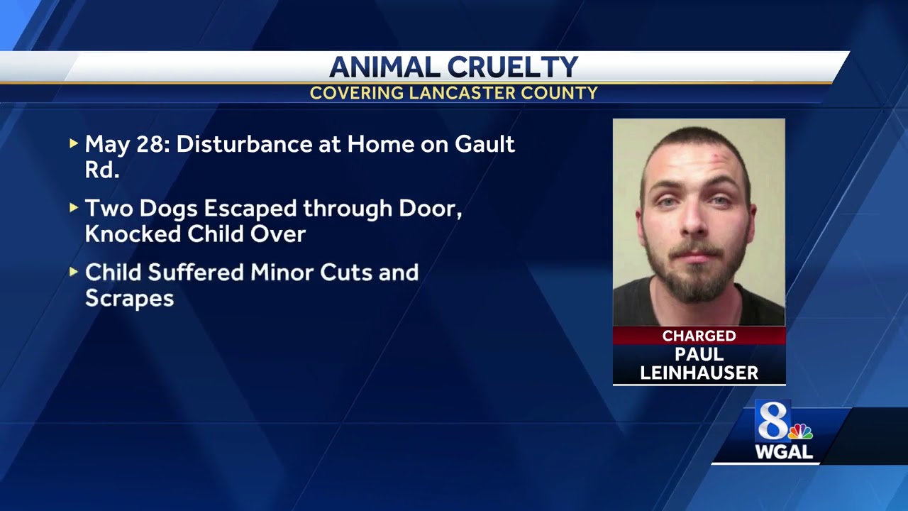 Man charged after shooting dog in face, police say - YouTube