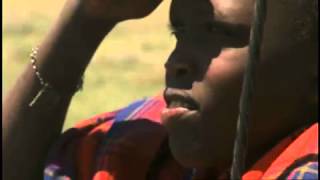 Africa Land Of The Sun AFRICA: SAVANNA HOMECOMING