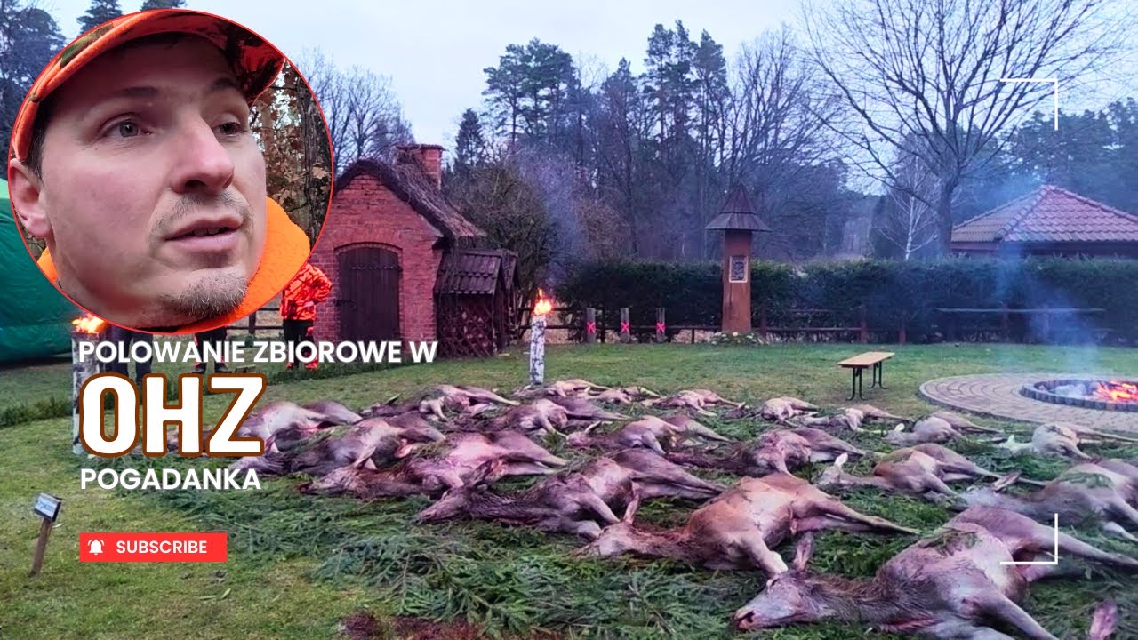 Polowanie zbiorowe w OHZ