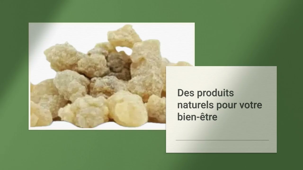 Vidéo "Ombres mouvantes"