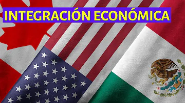 ¿Cuáles son las funciones de la integración económica?