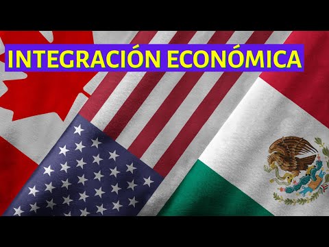 Video: El mercado común como etapa de integración, sus características, ejemplos