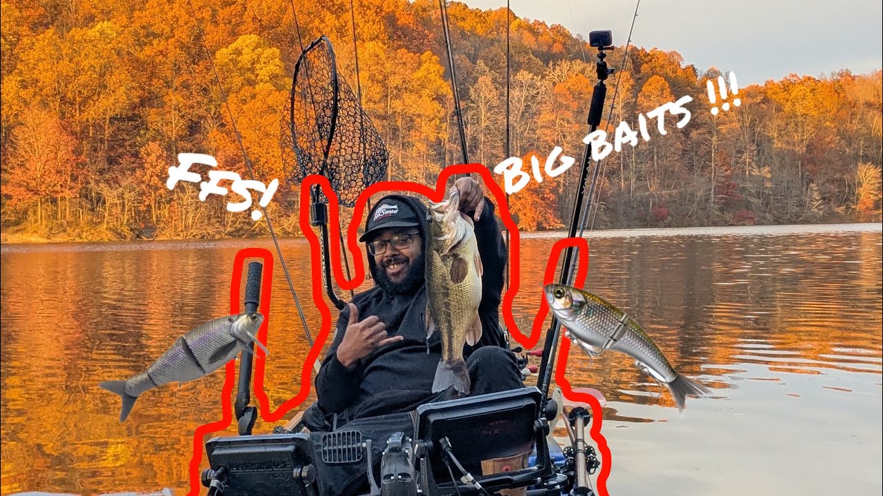 Swim baits and cheater boxes!!! - YouTube