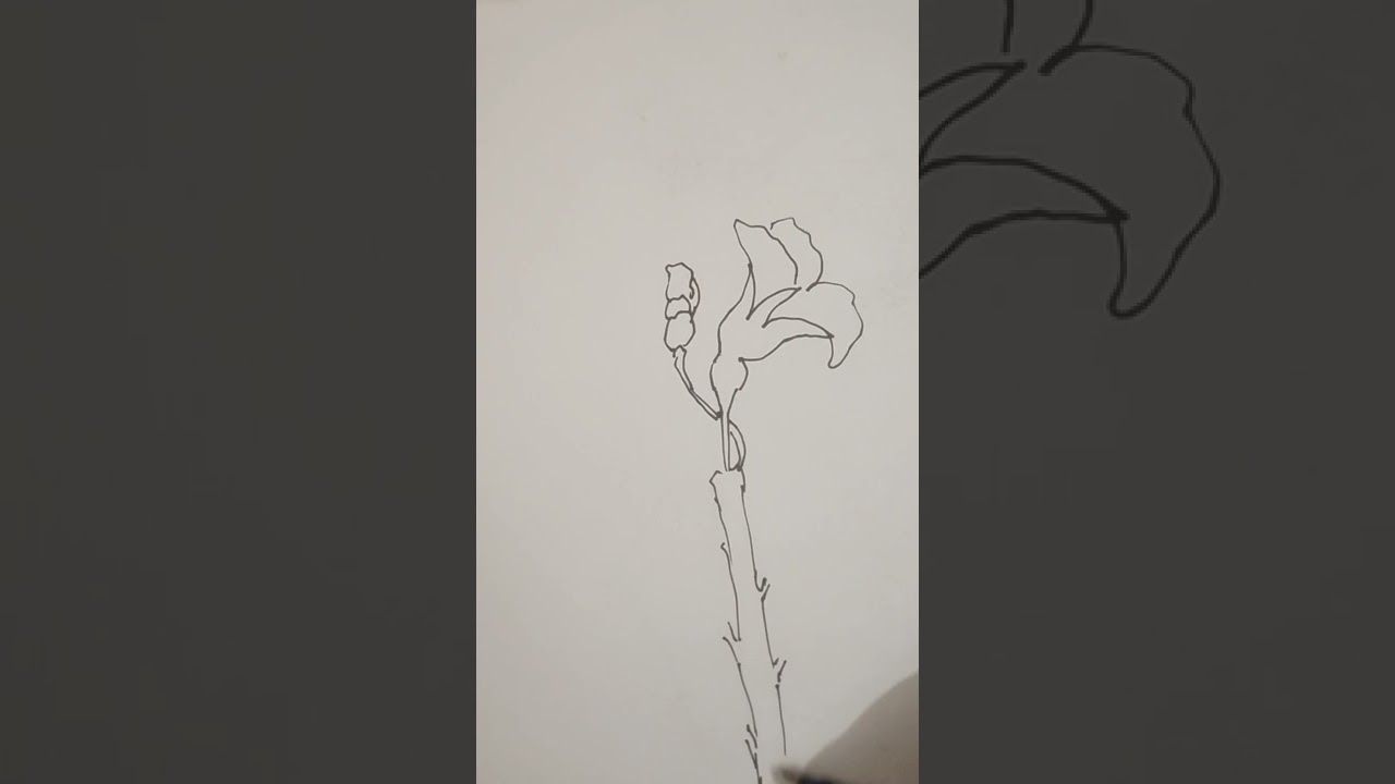 How to draw flower 