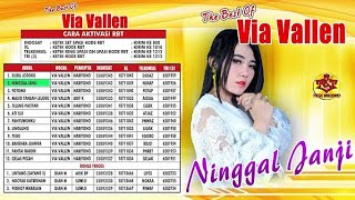 Download lagu Keroncong Teta Record the best Via Vallen