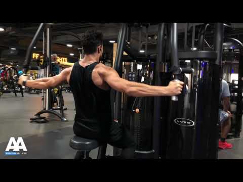Rear Delt Fly Machine Neutral Grip