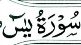 🔴 Live Quran Tilawat ❤ Noorani Studio 92 is live!