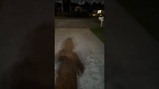 iPod throw test