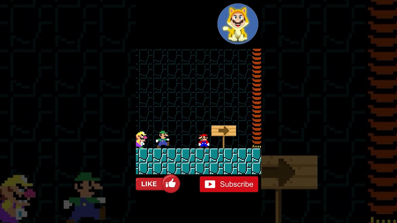 Mario and Friend vs Many Block