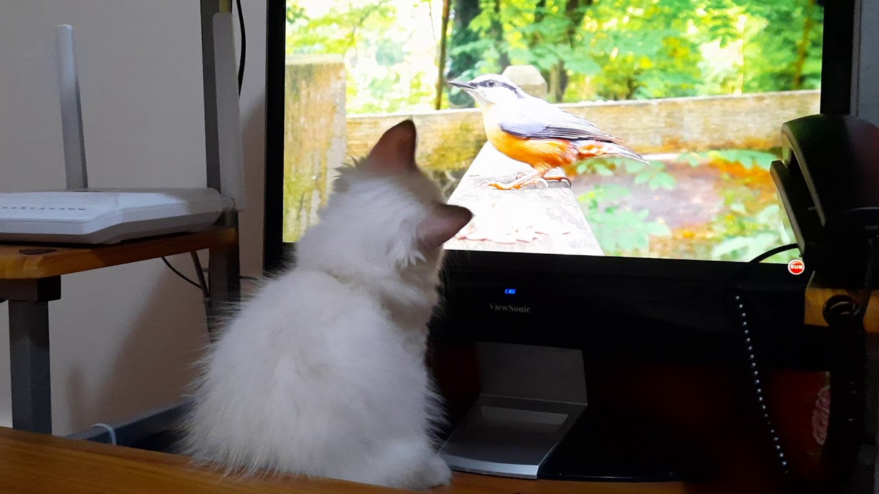 DICT Batangas Police Provincial Office Effective Online Reputation Management and Techniques-1