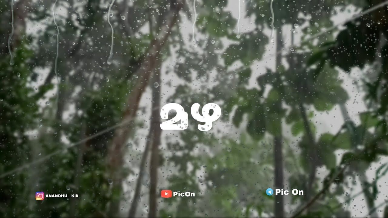 മഴ 🌧️ || CINEMATIC VIDEO || RAIN🌧️