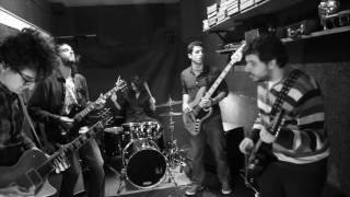 Then They Flew - Owls