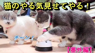 ベルを鳴らす猫／猫ベル（呼び鈴）マスター法～Cat that rings the bell / cat bell (call bell) master method