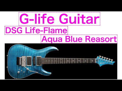 G-Life Guitars LTD 生産初年度美品 楽天市場】g－life guitarsの通販
