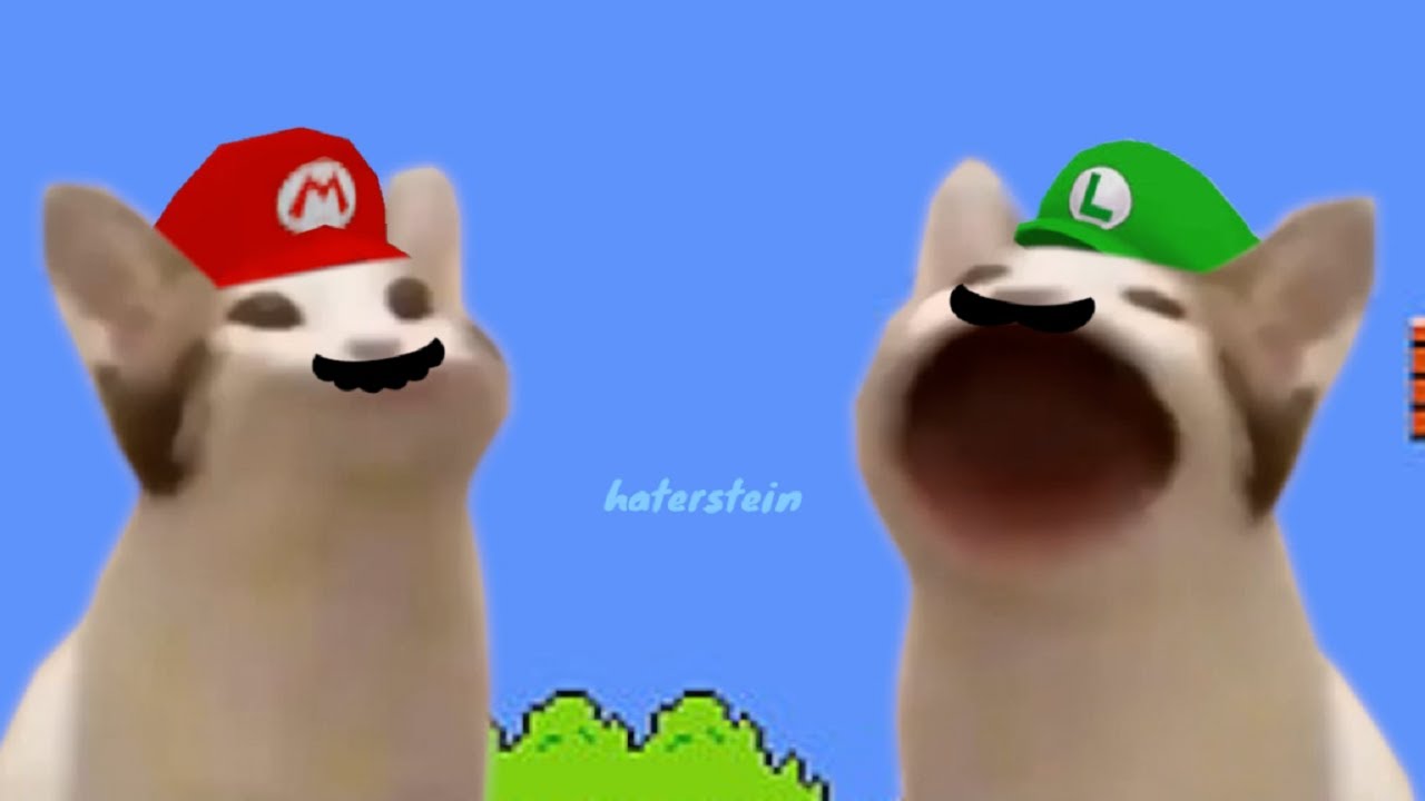 mario update