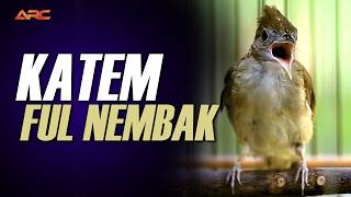 KAPAS TEMBAK GACOR SUPER NGEREN AK 47