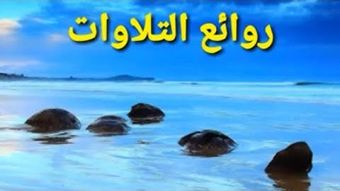 جزء عم ( النبأ - الطارق) تلاوة عذبة من روائع التلاوات