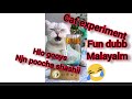 Cat  experiment fun dubb malayalam