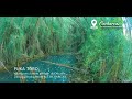 ¡Visita PUKA TORO! ubicado en el centro poblado de Osccollo, jurisdicción del distrito de COCHARCAS.