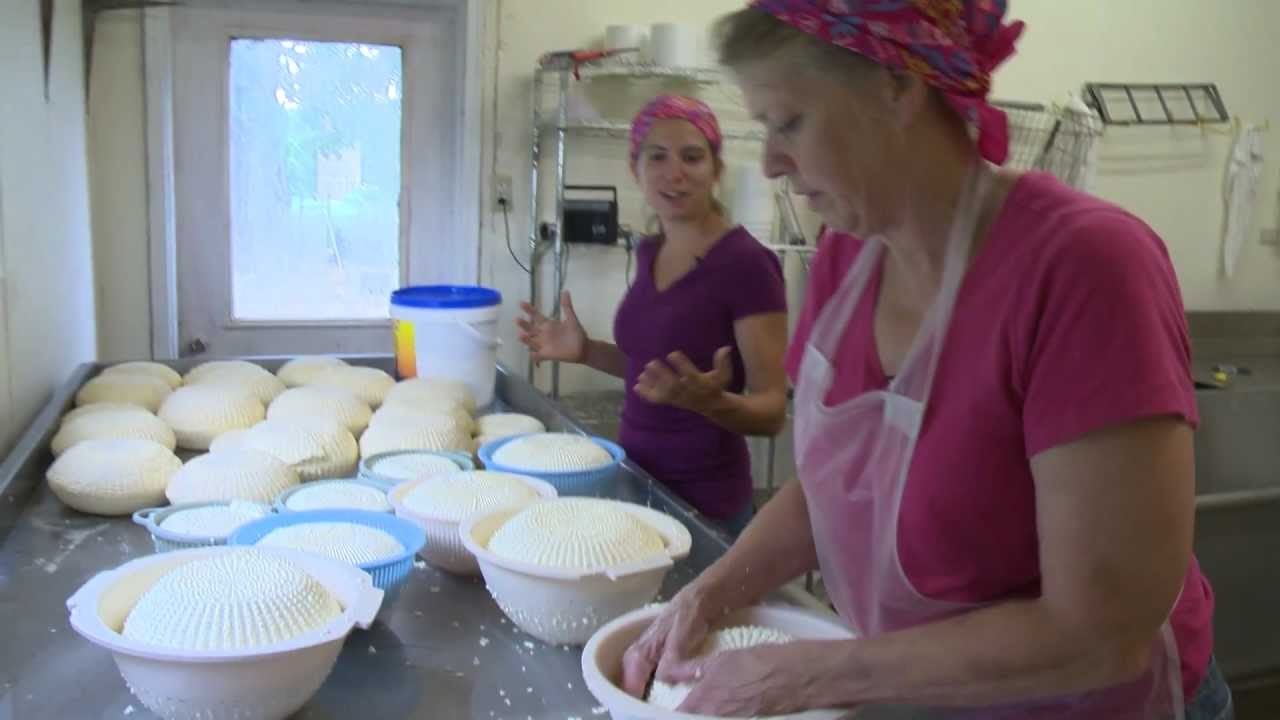 Ярмарка: изготовление ремесленного сыра на ферме LoveTree