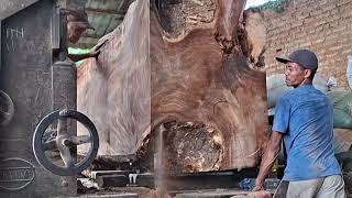 Super Massive Log Cutting | Giant Timber Too Big for the Sawmill!