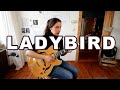 #12 Ladybird (tadd dameron)