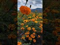Copandaro Michoacán 4k HDR