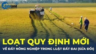 Hàng loạt QUY ĐỊNH MỚI về đất nông nghiệp trong Luật Đất đai (sửa đổi) | CafeLand