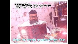 הזהר הקדוש - מלאכים מקיפים את האדם - הרב יאיר זמר טוב שליט"א