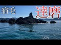 (チヌフカセ釣り)高知県宿毛市の名磯で爆釣