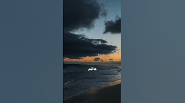 ما تيسر من سوره النساء للشيخ ياسر الدوسري #quran #قرآن #اكسبلور #ياسر_الدوسري