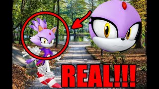 Blaze The Cat In Real Life Real