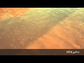 الحلقة 2 من برنامج ابو شنب