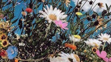 #القرآن_تلاوة_مؤثره من الآيه ٤٠ الى الآيه ٤٩ من سورة الأنعام تصوير رباني لواقعنا  والعلاج 1441/8/13