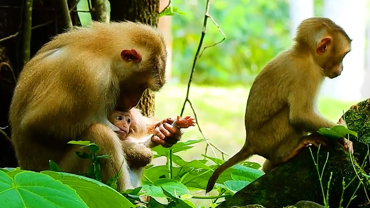 WELL DONE! ROSE MOM TELLING BRADY BABY! YOU ARE STRONGER SOON MY LOVE!
