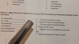 Figurative Language Test