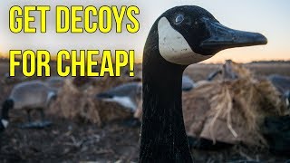 How To Get Decoys For Cheap