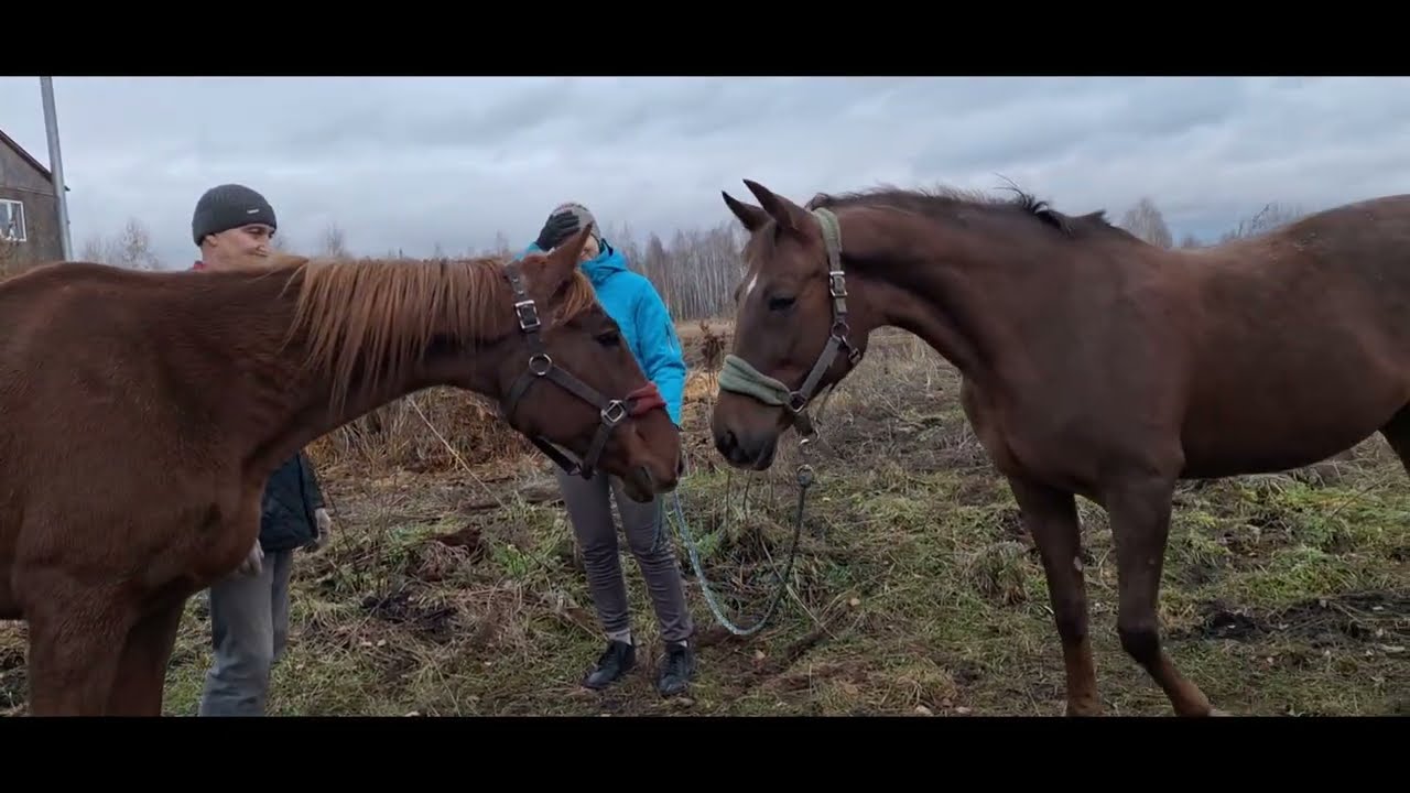 Работа кипит 2025