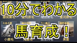 #56【戦国ブシドー】馬について!10分簡単解説!