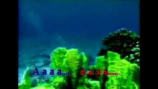 Mother how are you today - Maywood