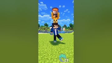 POV: You’re AFK on a Minecraft Server…