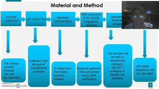 srd presentation